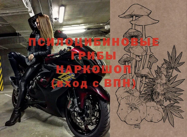герыч Белая Холуница