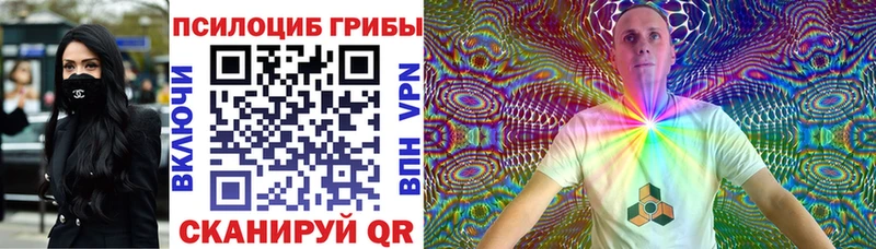 Псилоцибиновые грибы Psilocybe  Никольск 